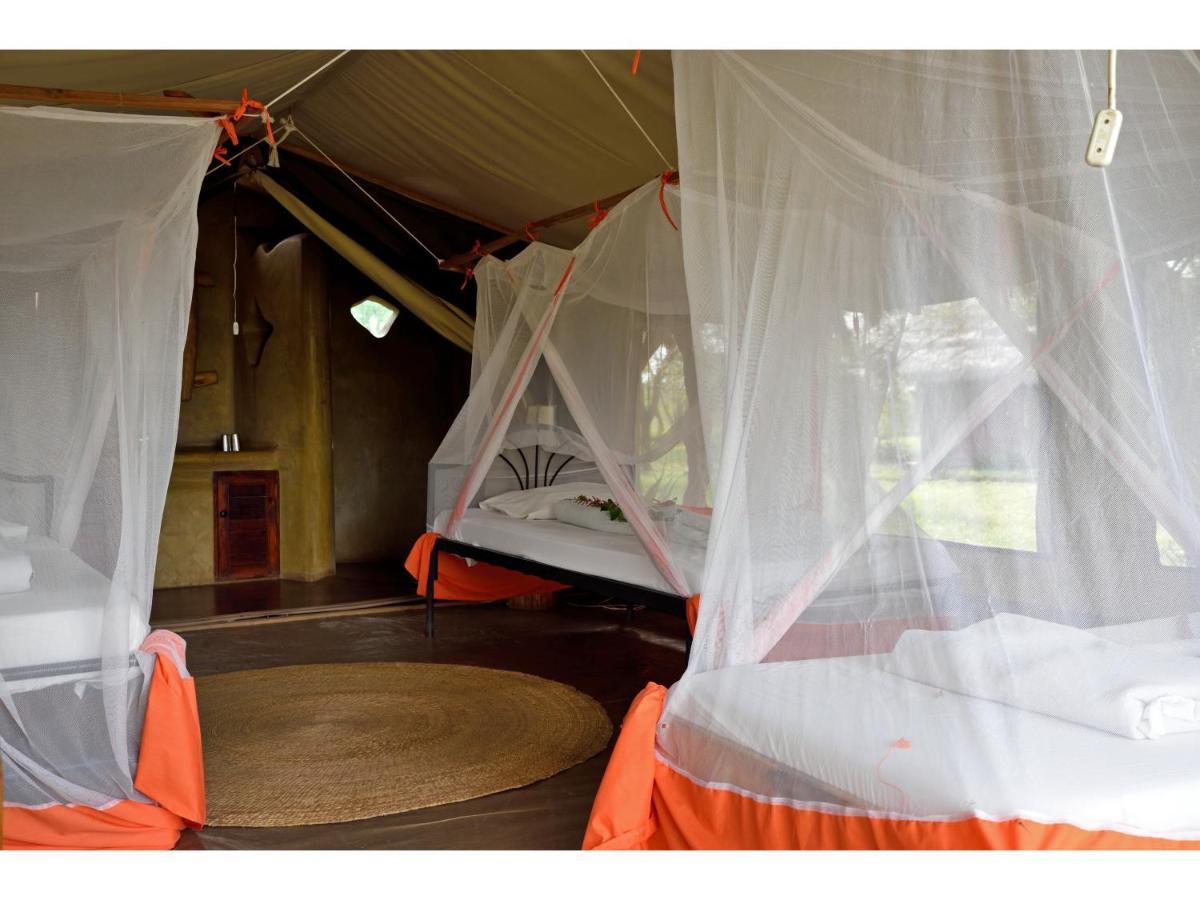 Ikoma Bush Camp Robanda Exteriör bild